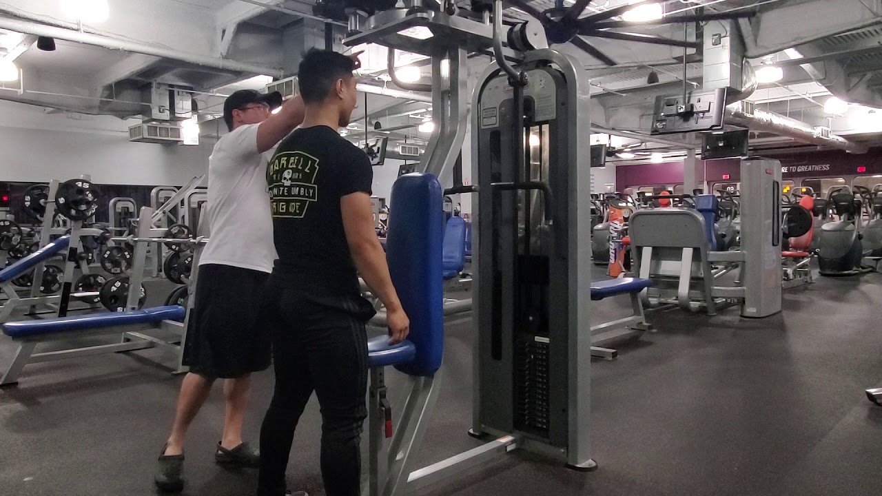 Neutral Grip Reverse Pec-Dec