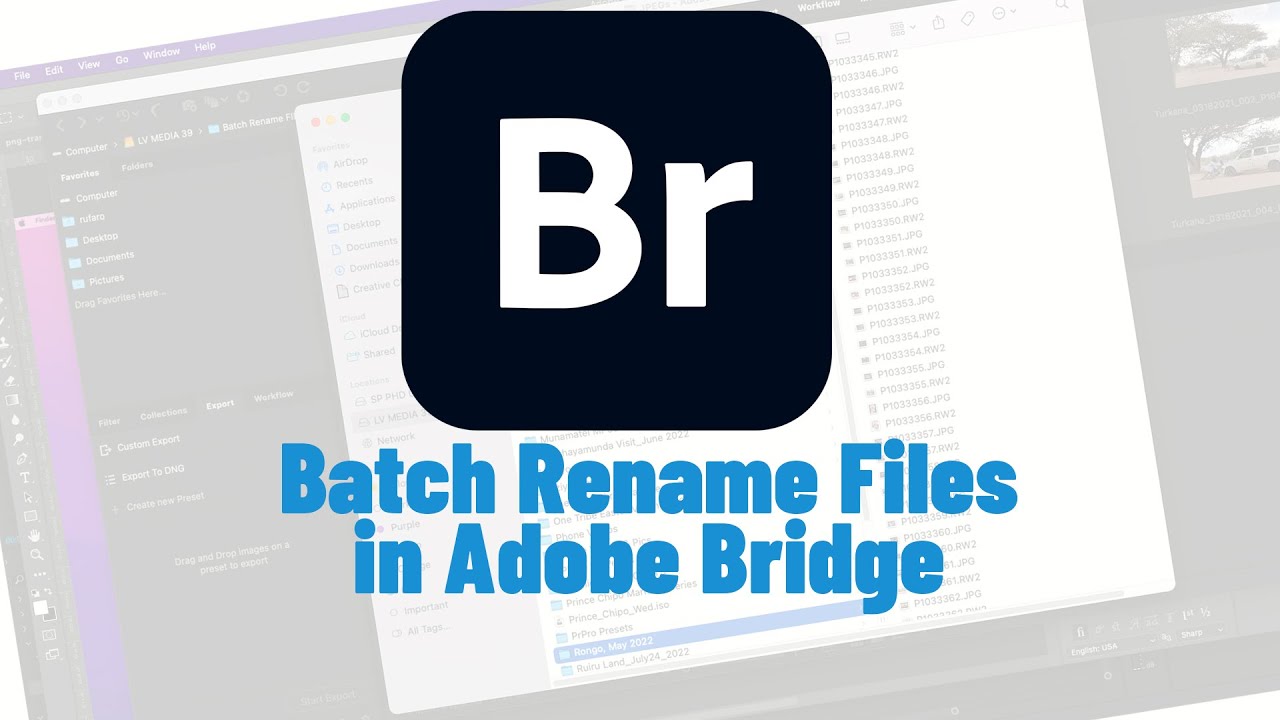 Batch Renaming Files in Adobe Bridge