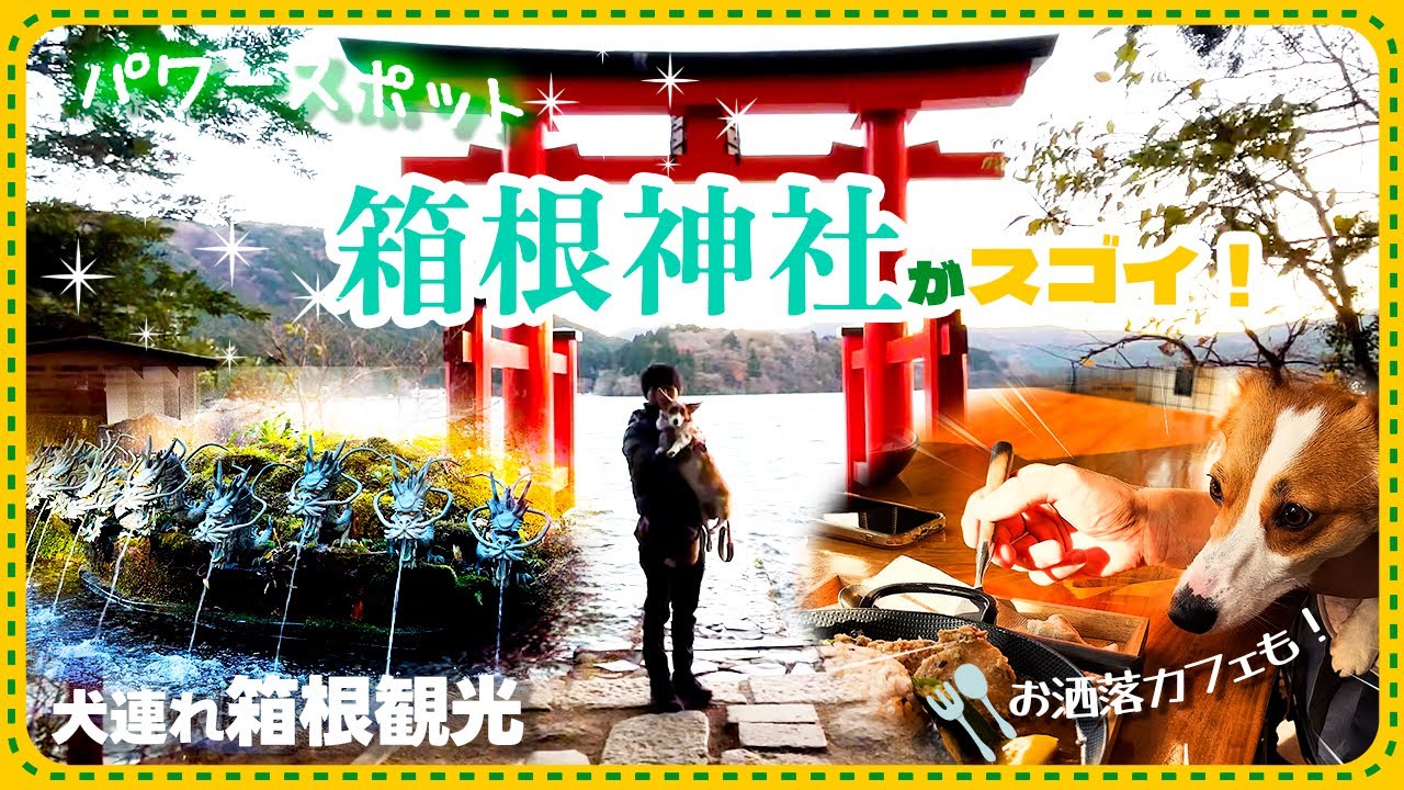 【犬と箱根ならココは外せない！】箱根神社と店内OK犬連れランチ！