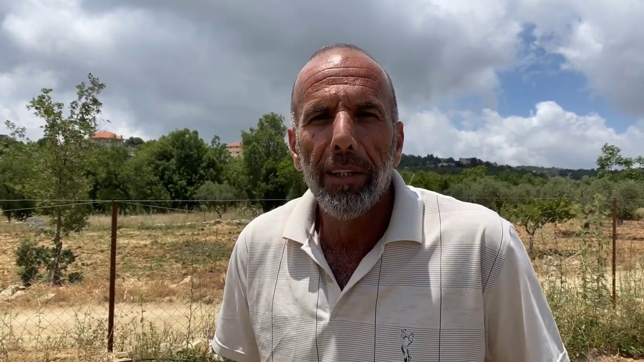 Zaatar (Oregano, Thyme) Plantation in Baadaran with Zeineddine