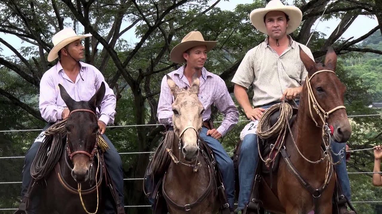 1 Solo Mulas Vaqueras 2015
