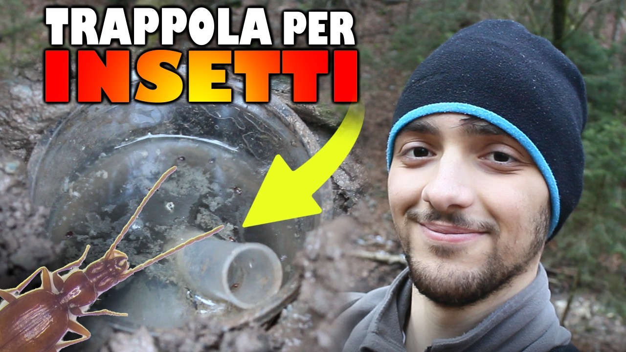 Cosa c'era nella TRAPPOLA SOTTERRANEA? - marzo 2026