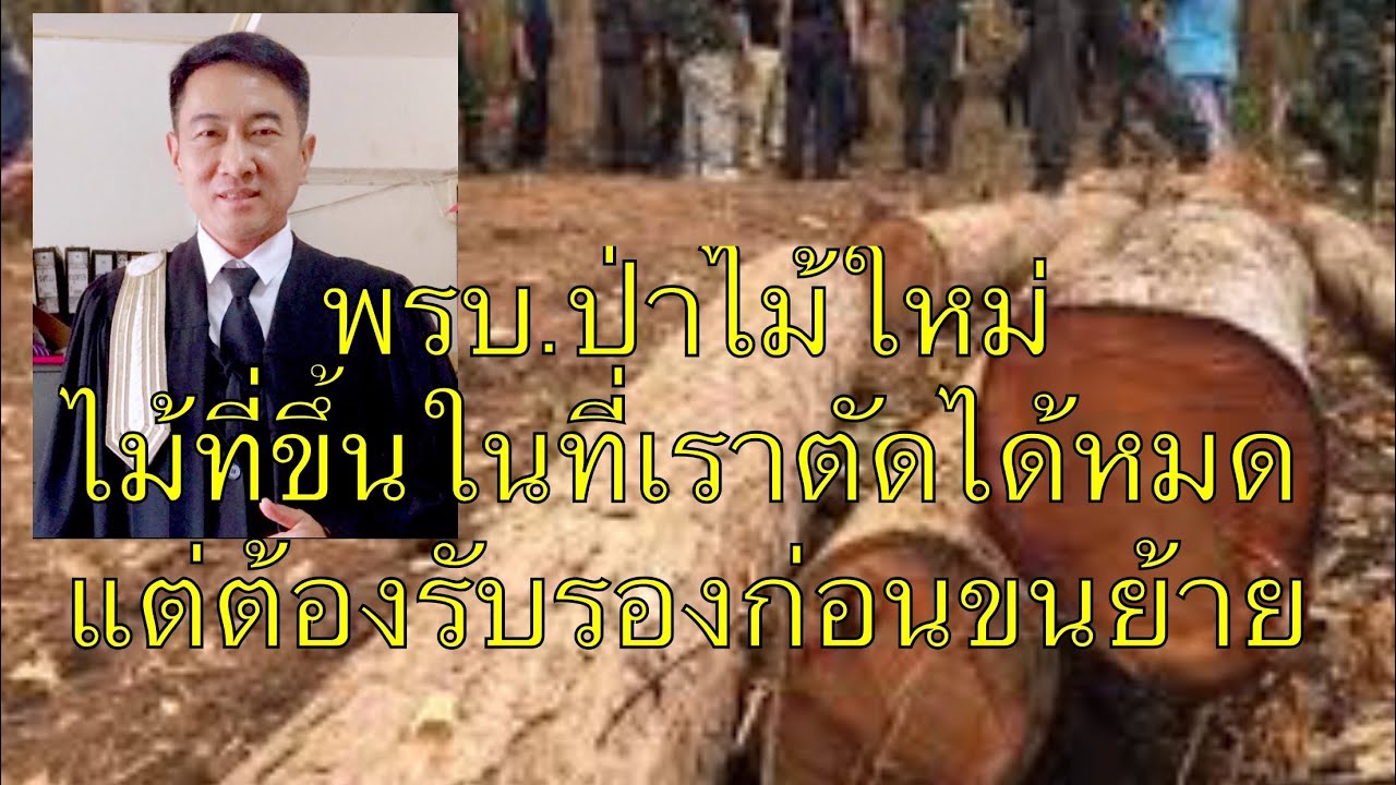 #พรบ.ป่าไม้ใหม่.ต่อไปไม้ทุกขนิดในที่ดินตัดได้​แล้วแต่ต้องมีเงื่อนไขอย่างไร​มาฟัง/ ตอบคำถามท้ายรายการ