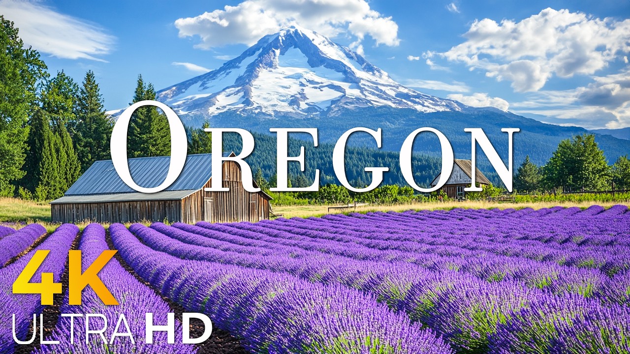 Oregon 4K 🌲 Rugged Coastlines, Forests & Cinematic Nature UHD