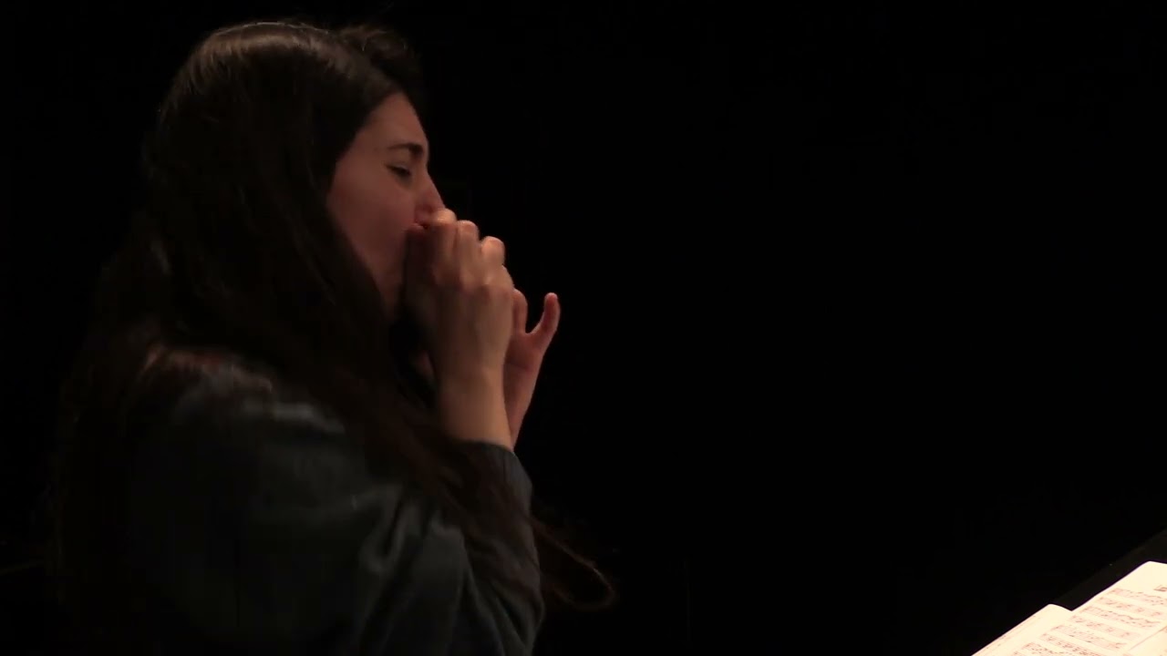 Luiza by Antonio Carlos Jobim with Ariel bart on Harmonica