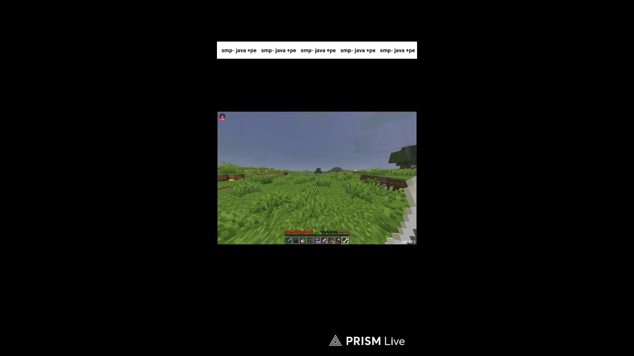 MINECRAFT playing with subscribes 🙃 and friends #shorts