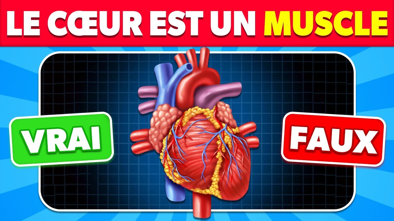 🧠 Connais-tu vraiment le CORPS HUMAIN ? 👩🏻‍⚕️🩺✅ Quiz de Culture Générale sur l'Anatomie