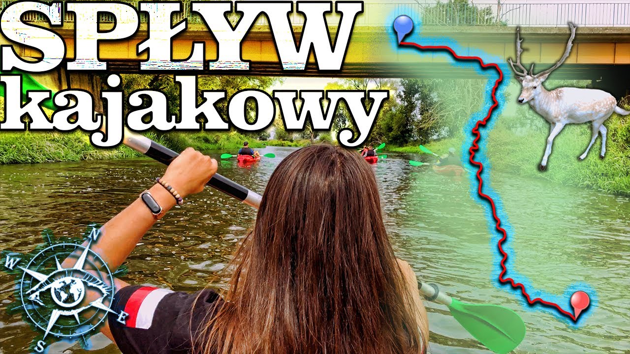 🚣 SPŁYW KAJAKOWY WARTĄ I PROSNA 2021 🏞 /  🦌 KARMILIŚMY DZIKIE ZWIERZĘTA 🐾 / BYLIŚMY W PIĘKNYM PAŁACU