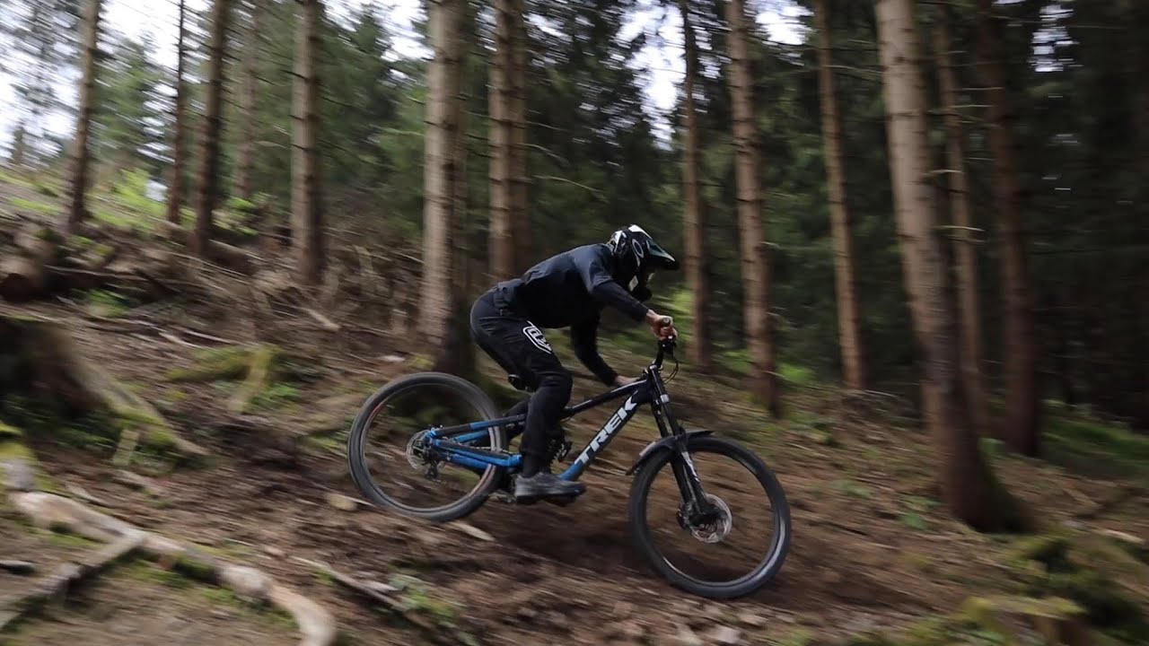 Schulenberg Hidden Hitters
