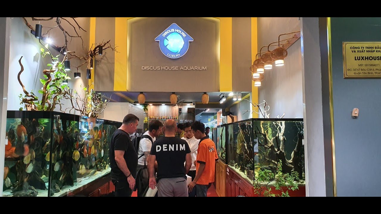 THE BIGGEST DISCUS FISH FARM IN VIETNAM