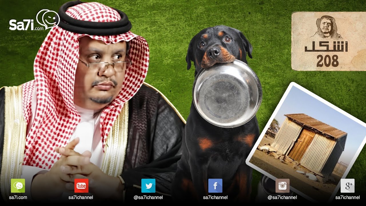 #صاحي :