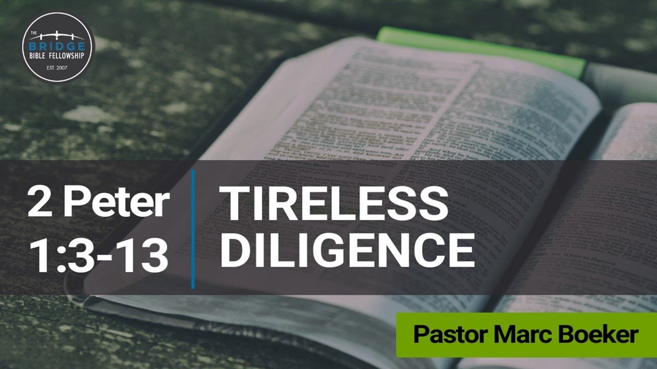 Tireless Diligence