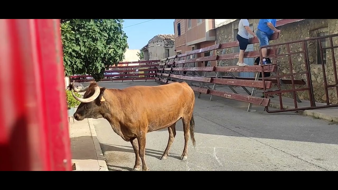 2° Encierro El Sabinar 2022