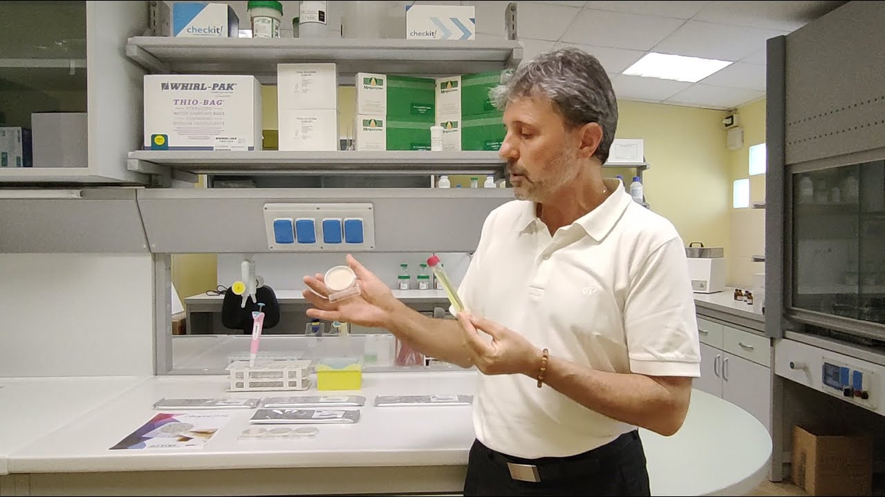 Compact Dry - Le piastre pronte cromogeniche, validate e stabili per analisi alimentari