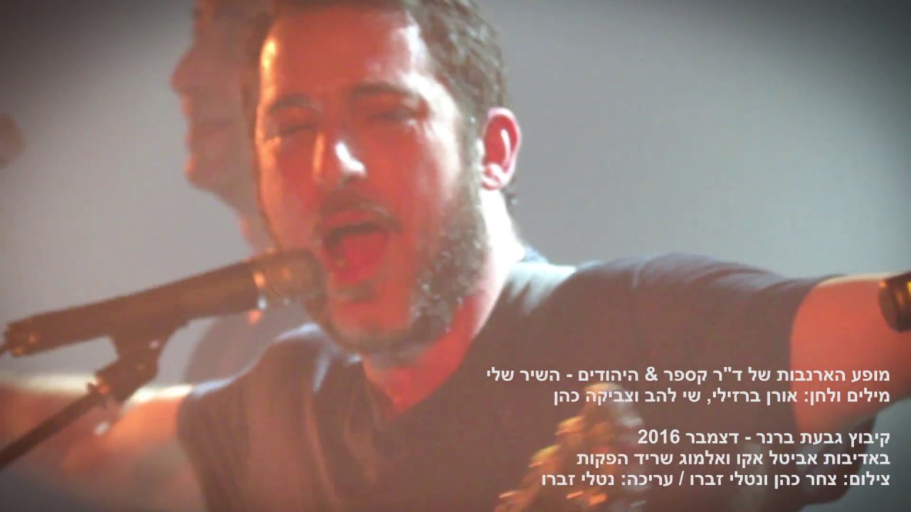 מופע הארנבות של ד