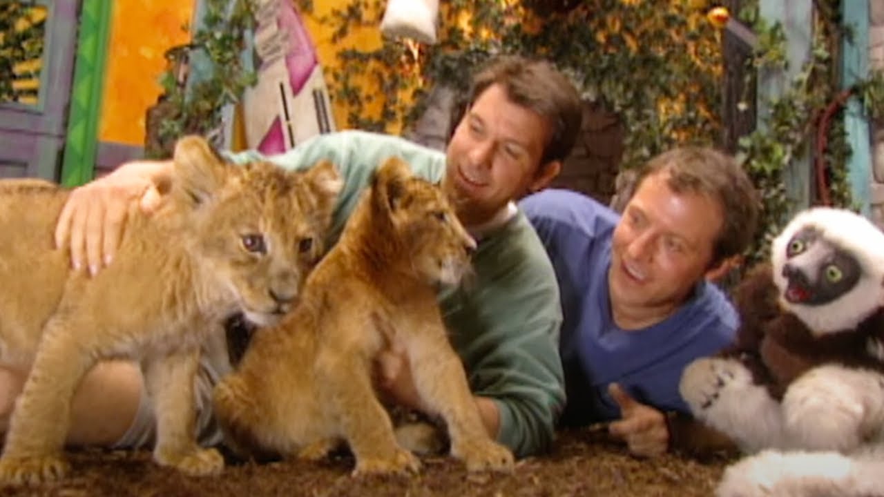 Zoboomafoo - Lion Cubs | WildBrain Zoo | Animal Lovers Kids Show