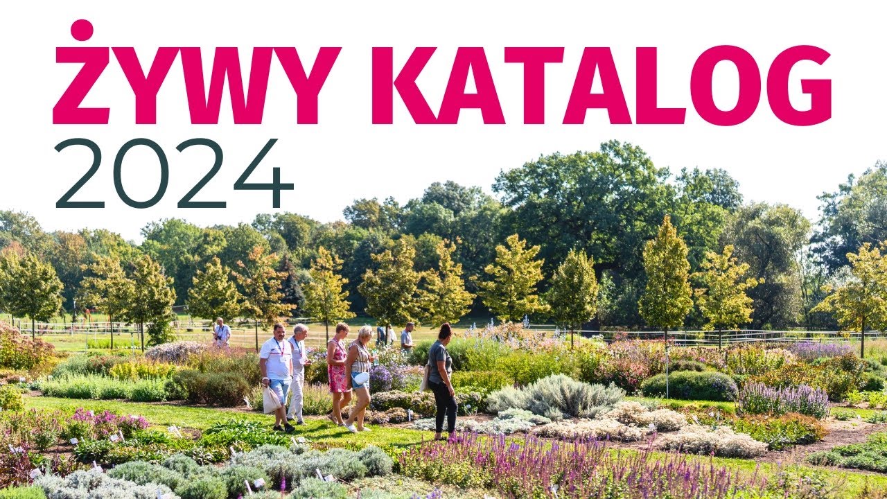 Живой каталог 2024 Vitroflora - Многолетние растения | Декоративные травы | Растения для клумб