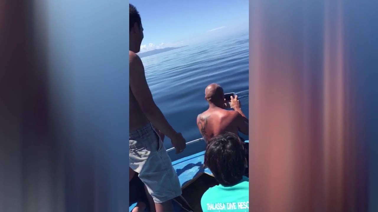 Spinners in Manado Bay