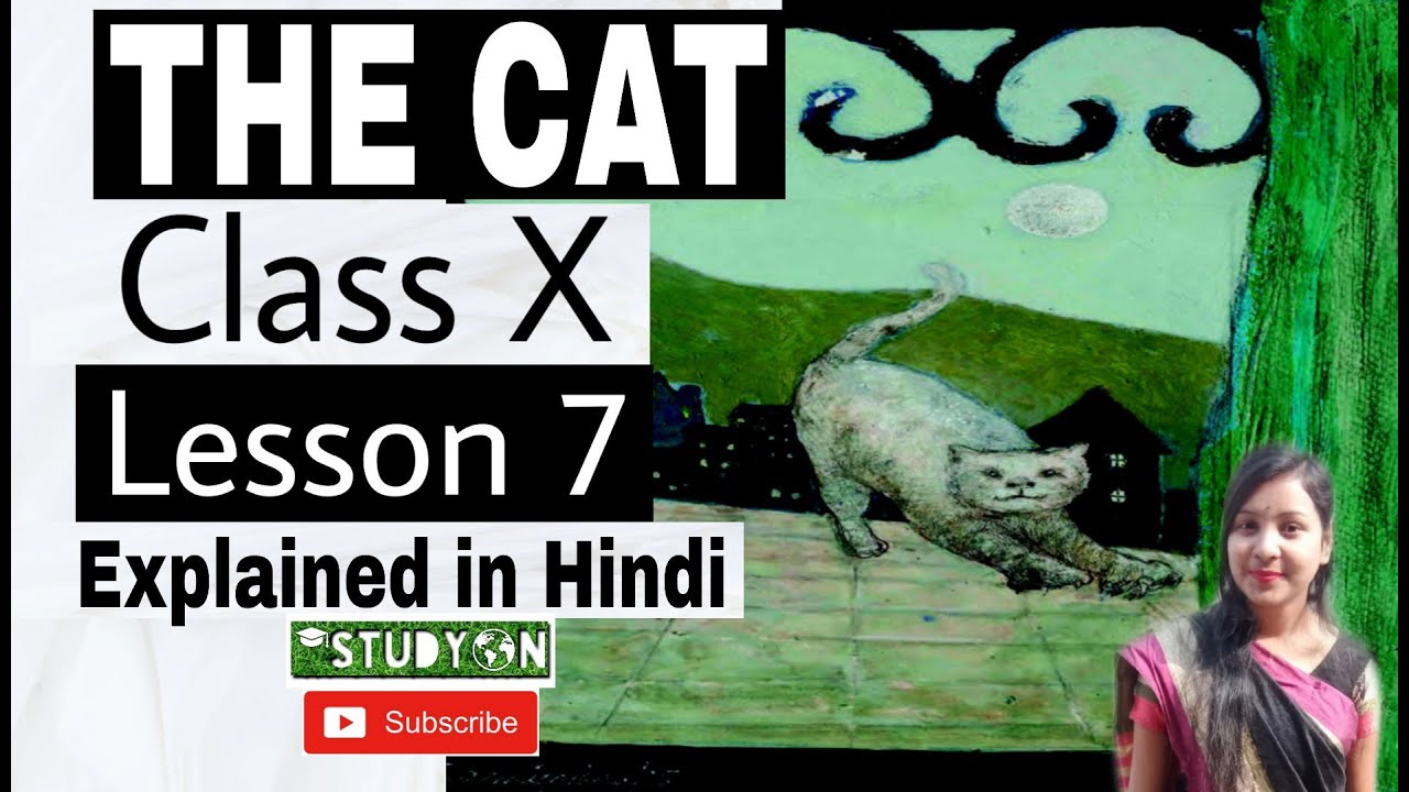 THE CAT | Class 10 | Lesson 7 | WBBSE English | Explained in Hindi | Study On