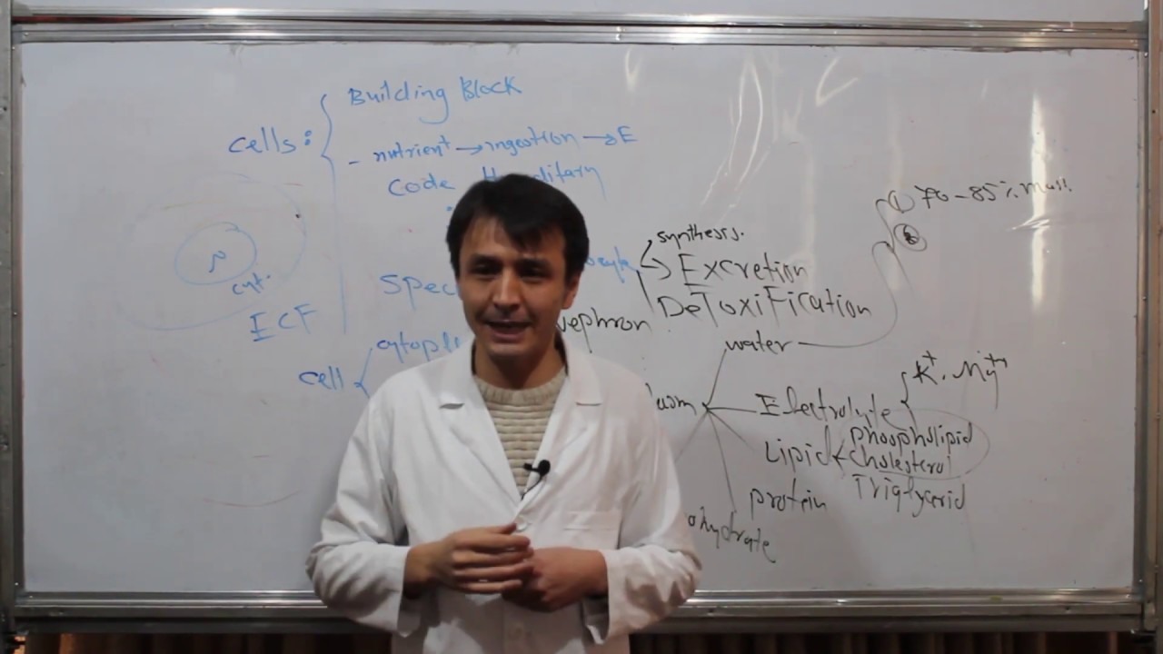 Physiology| Cells and parts of Cells| Lecture 2|  حجره و بخش های آن