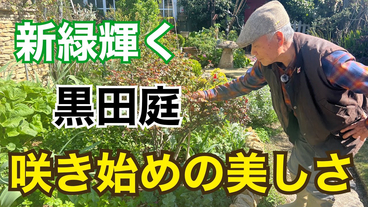 【4月】新緑の黒田庭 2025 Kuroda's Residence