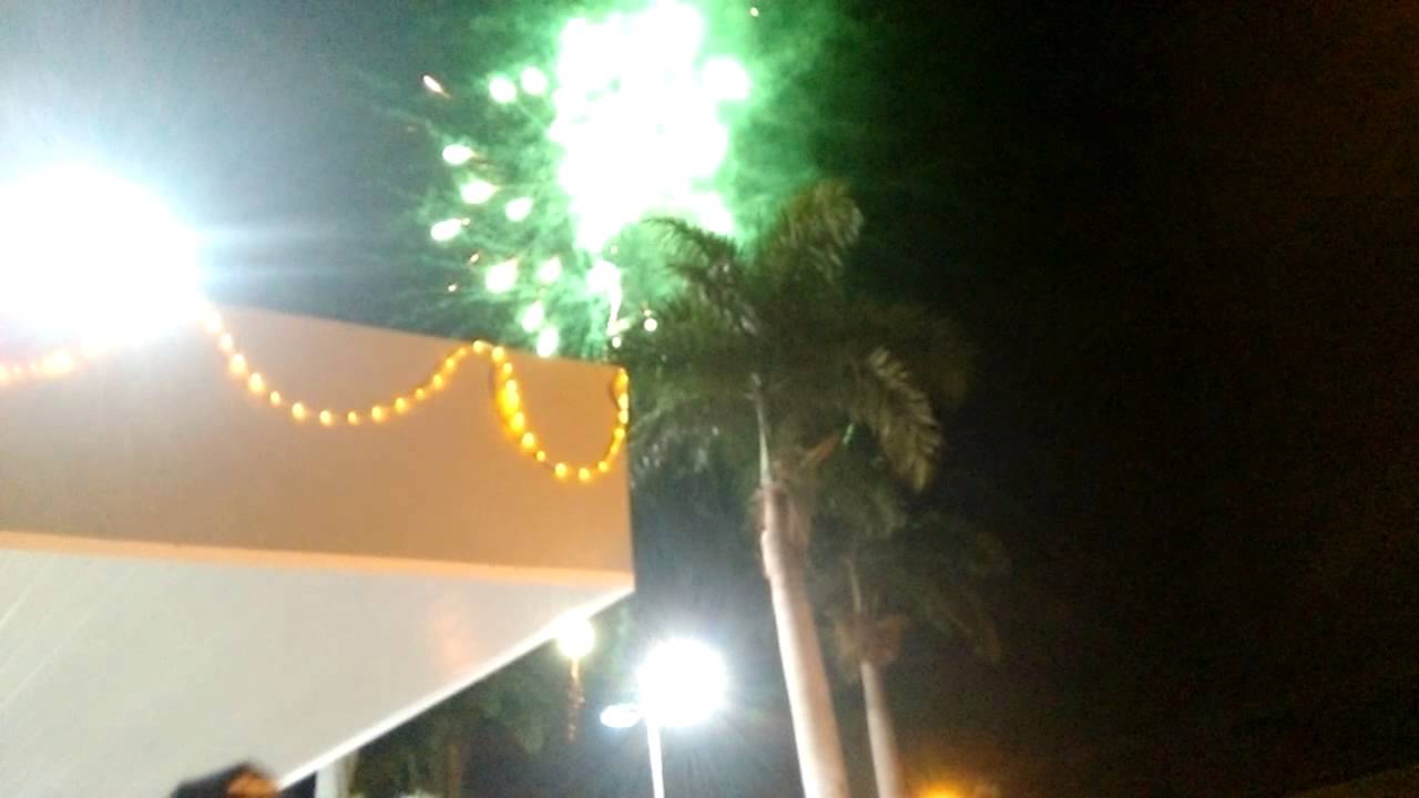Felis 2016 eeee