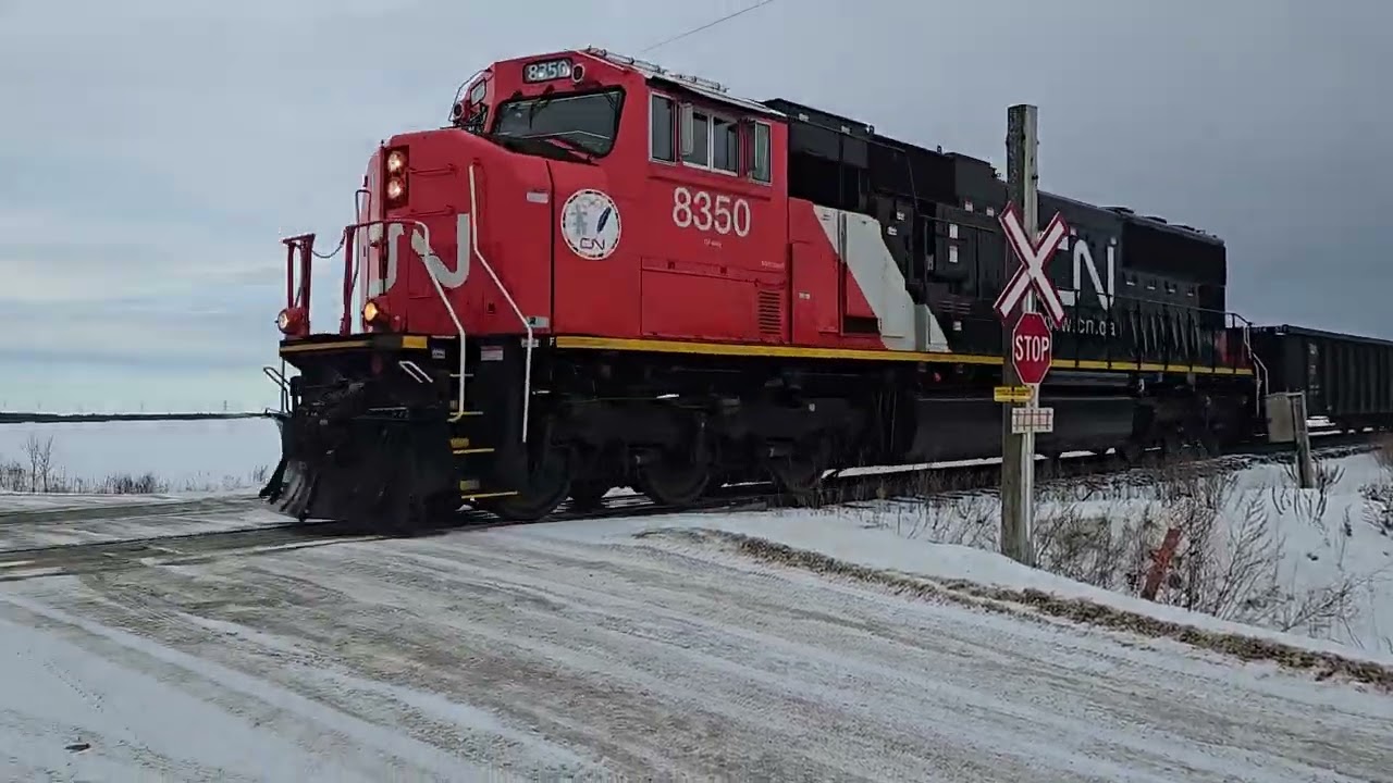 Westbound CN manifest M317 accelerates past Hall Road with EB CN Potash 790 stopping. 1/15/26.