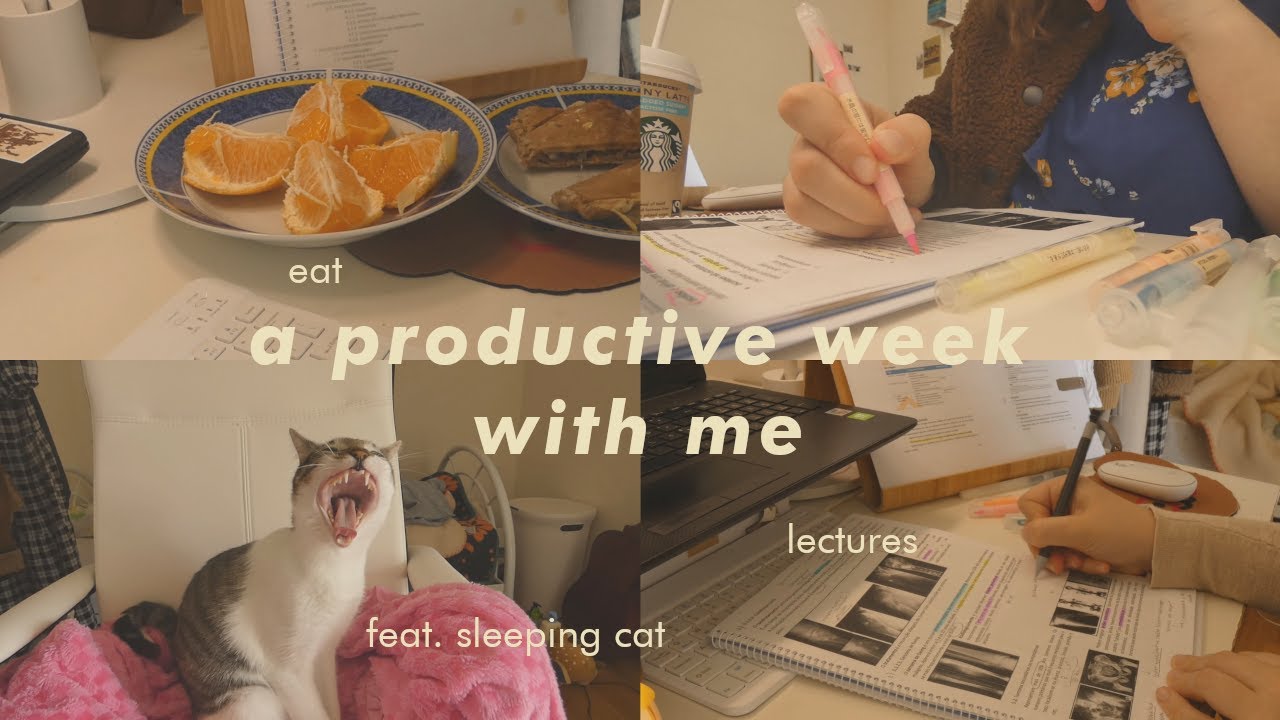 orthopedics rotation ☁ catching up! lecture notes (study vlog)
