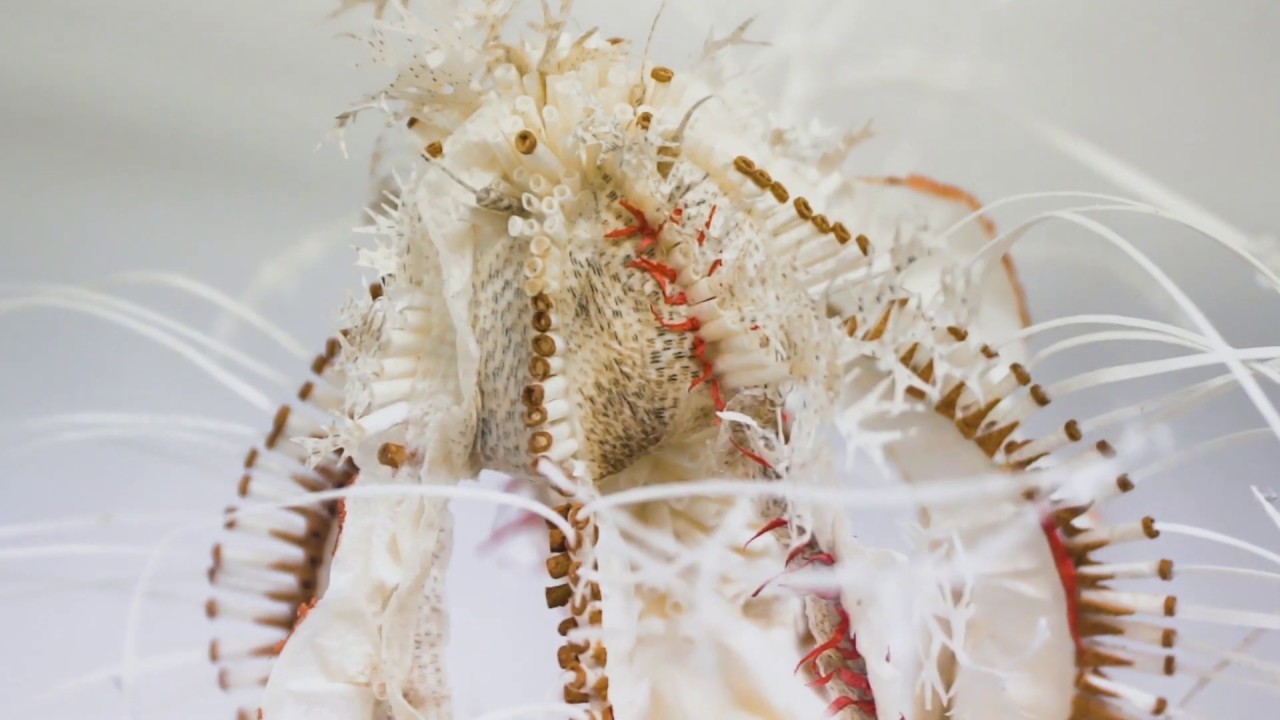 Woman's Hour Craft Prize Exhibition Teaser | V&A
