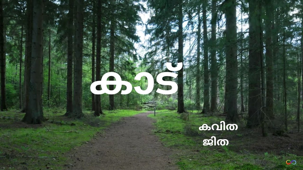 കാട്/ കവിത /മലയാളം  @jithawrites