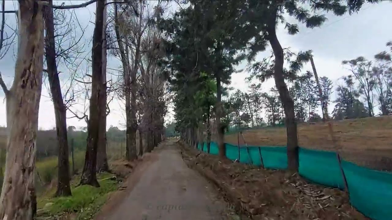 CSIR IHBT - Chandpur Road | Bike Riding | Travel