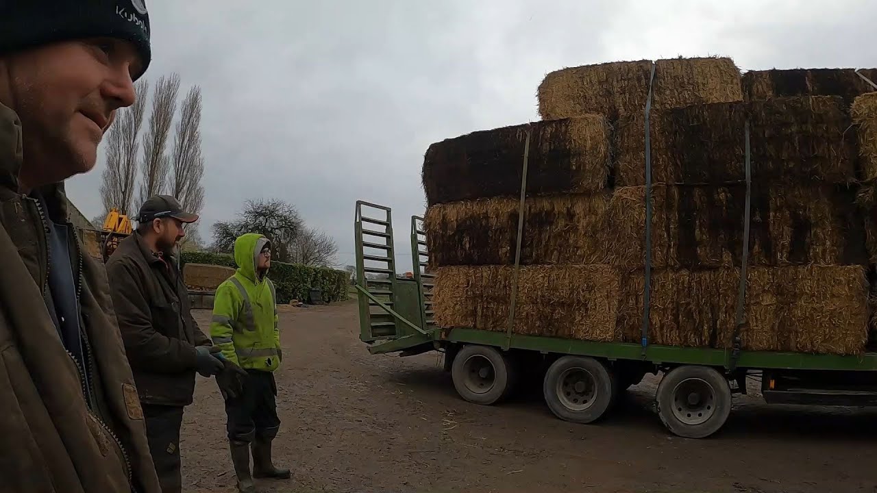 Any Straw will do, Nice lely Rake