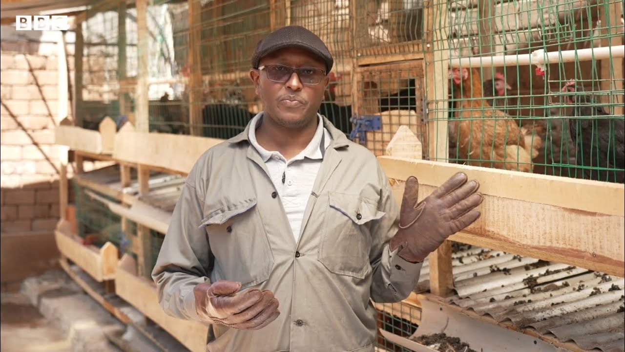 How I use chicken poop to power my life - Using the Flexi Biogas Technology.