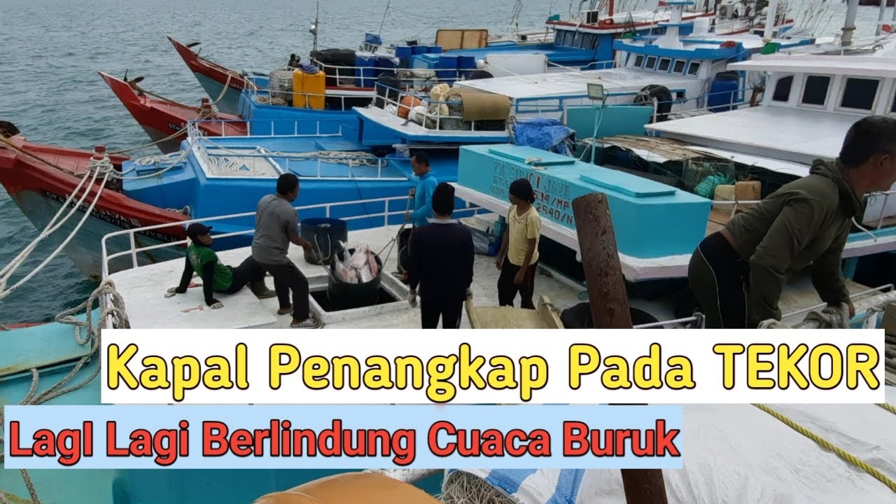 Lagi Lagi Berlindung Karena Cuaca Extream,Kapal2 Penangkap Pada Tekor Ikan Sepi
