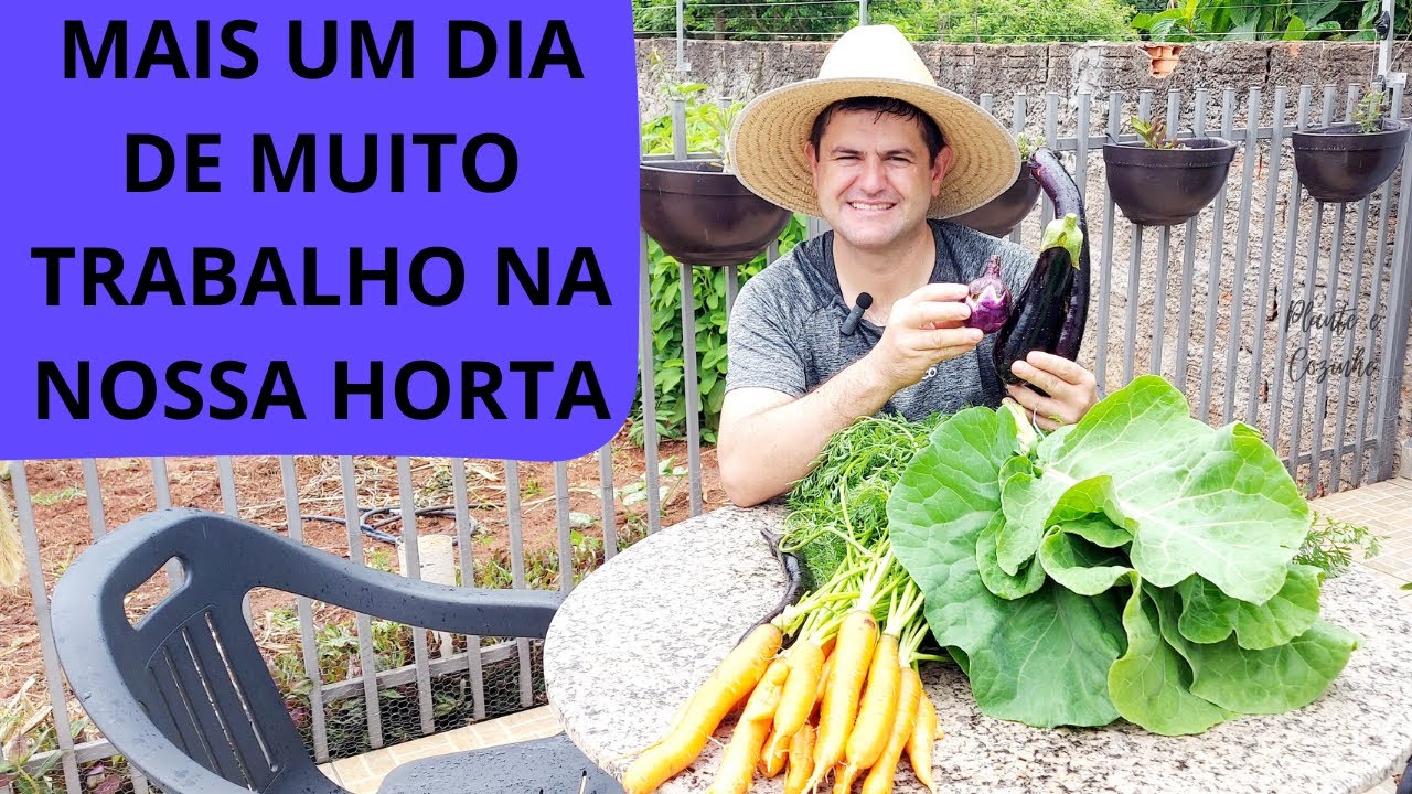 DIA NA HORTA: plantio de pimenta e tomate, cuidados com a vagem e grandes colheitas!