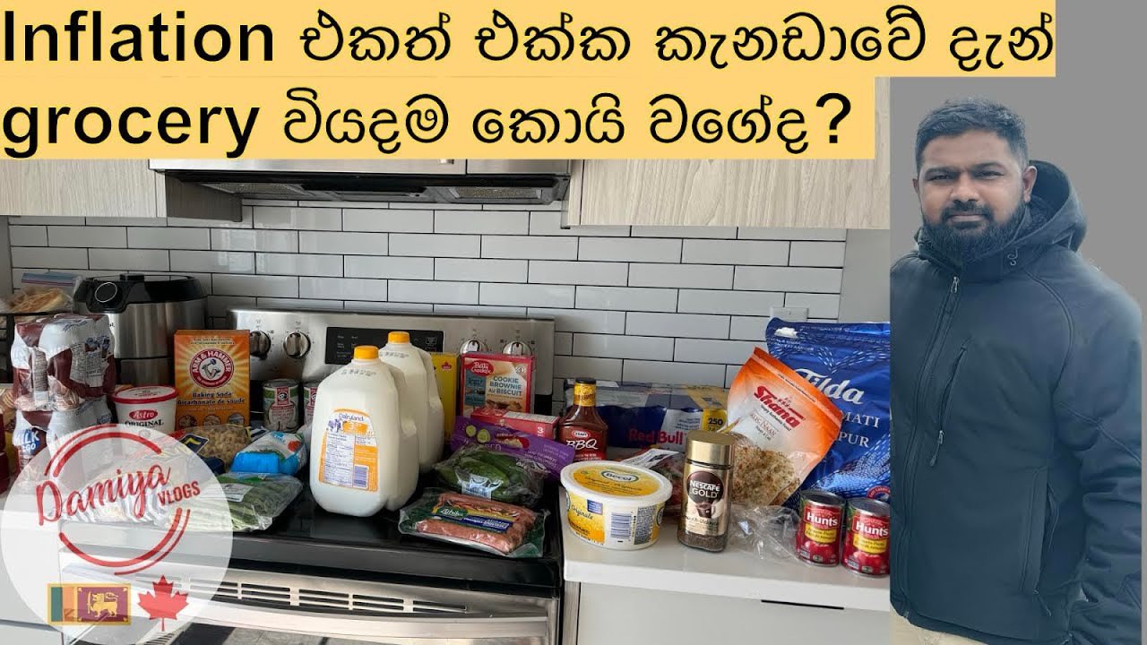 Inflation එකත් එක්ක කැනඩාවේ දැන් grocery වියදම කොයි වගේද? #damiyavlogs #lifeincanada