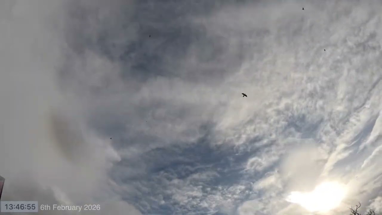 Daytime Sky Time Lapse 6th February 2026