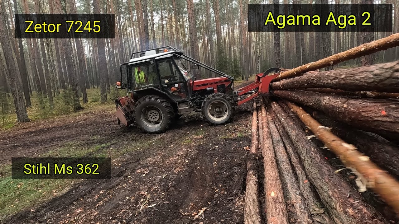 Těžba dřeva- dokončení oddílu, logging pine, Stihl Ms 362, Zetor 7245, Agama Aga 2, @jpforest8882