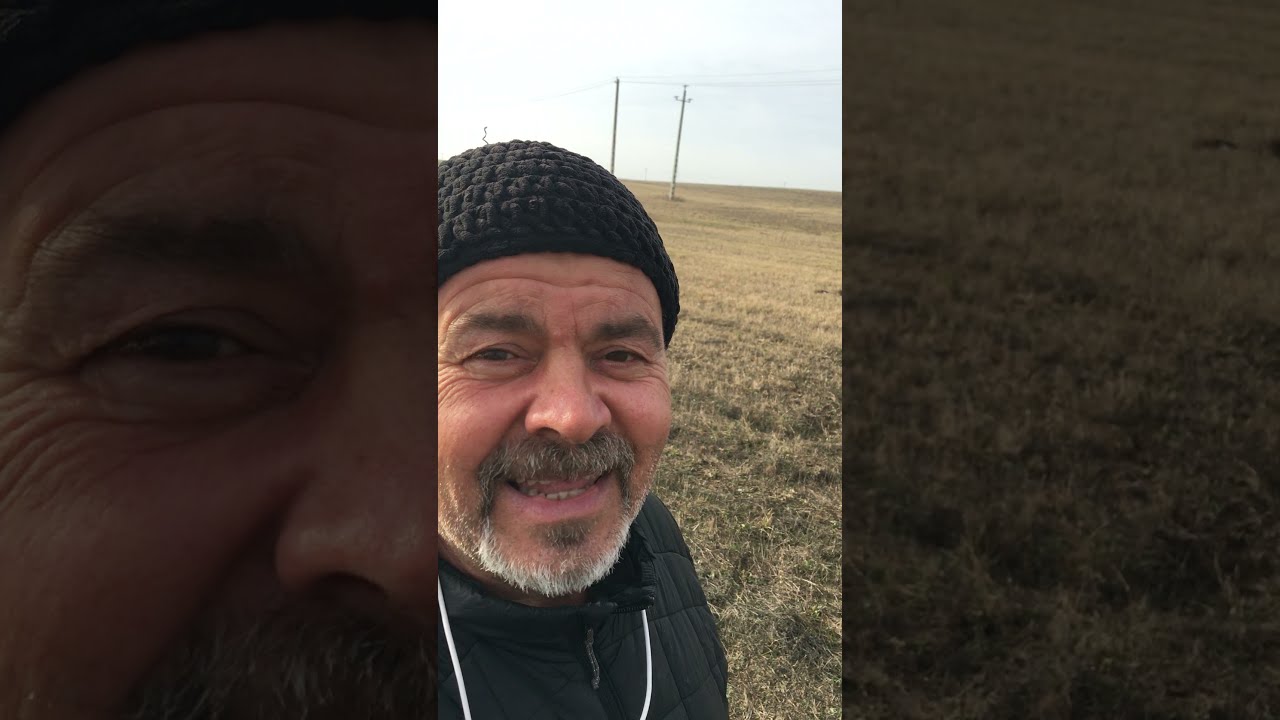 Decemberi cs&aacute;sz&aacute;rfa &uuml;ltet&eacute;s