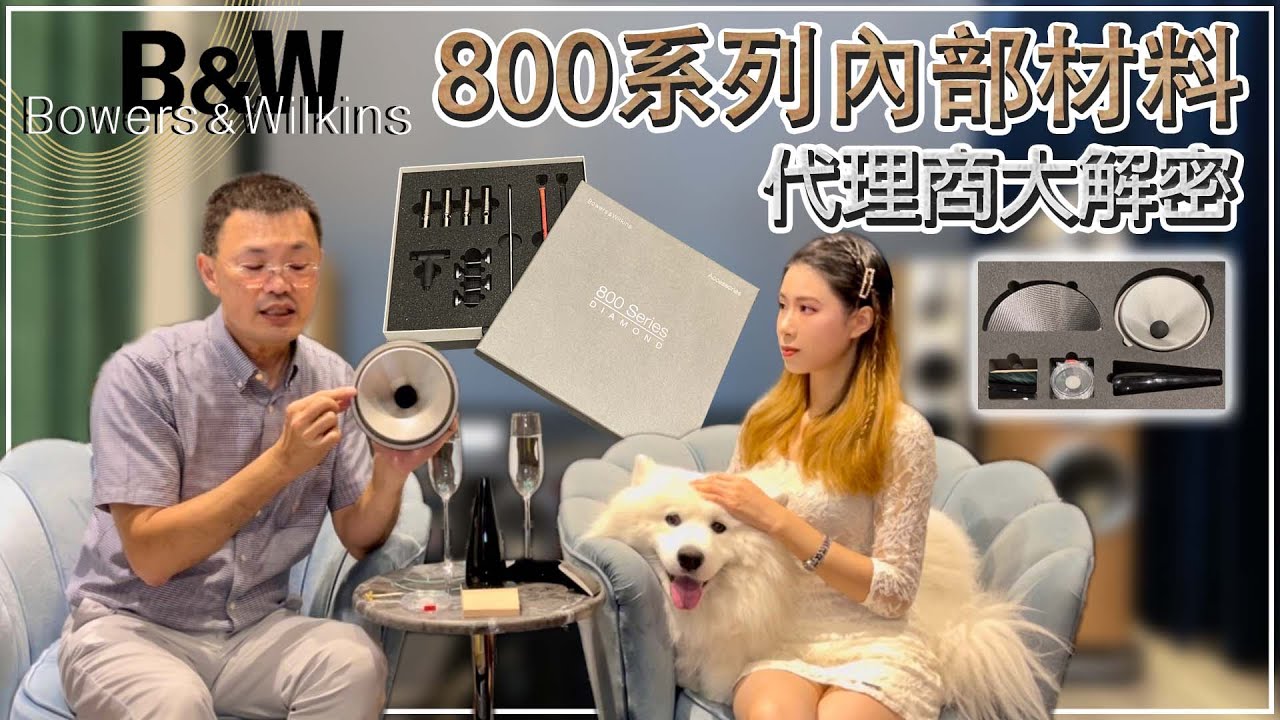 樂府音響【探索B&W 800 D4系列的內部結構：影片獨家解密！】『下集』Bowers and Wilkins 8系列大頗析｜@allegroltdtw·CC字幕·
