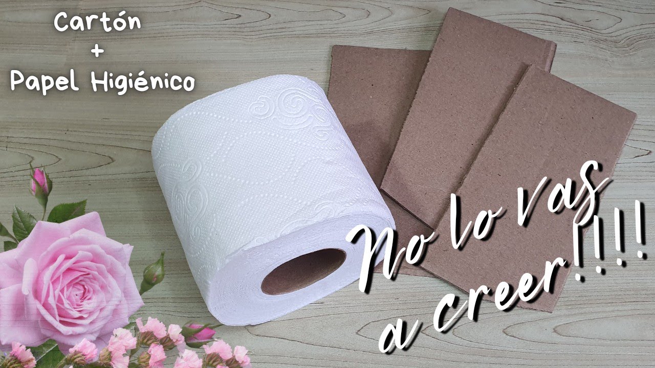 CARTON + PAPEL HIGIENICO, ¡¡¡no vas a creer este resultado!!!