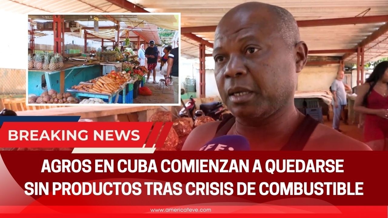 AGROS EN CUBA COMIENZAN A QUEDARSE SIN PRODUCTOS TRAS CRISIS DE COMBUSTIBLE - America TEVE