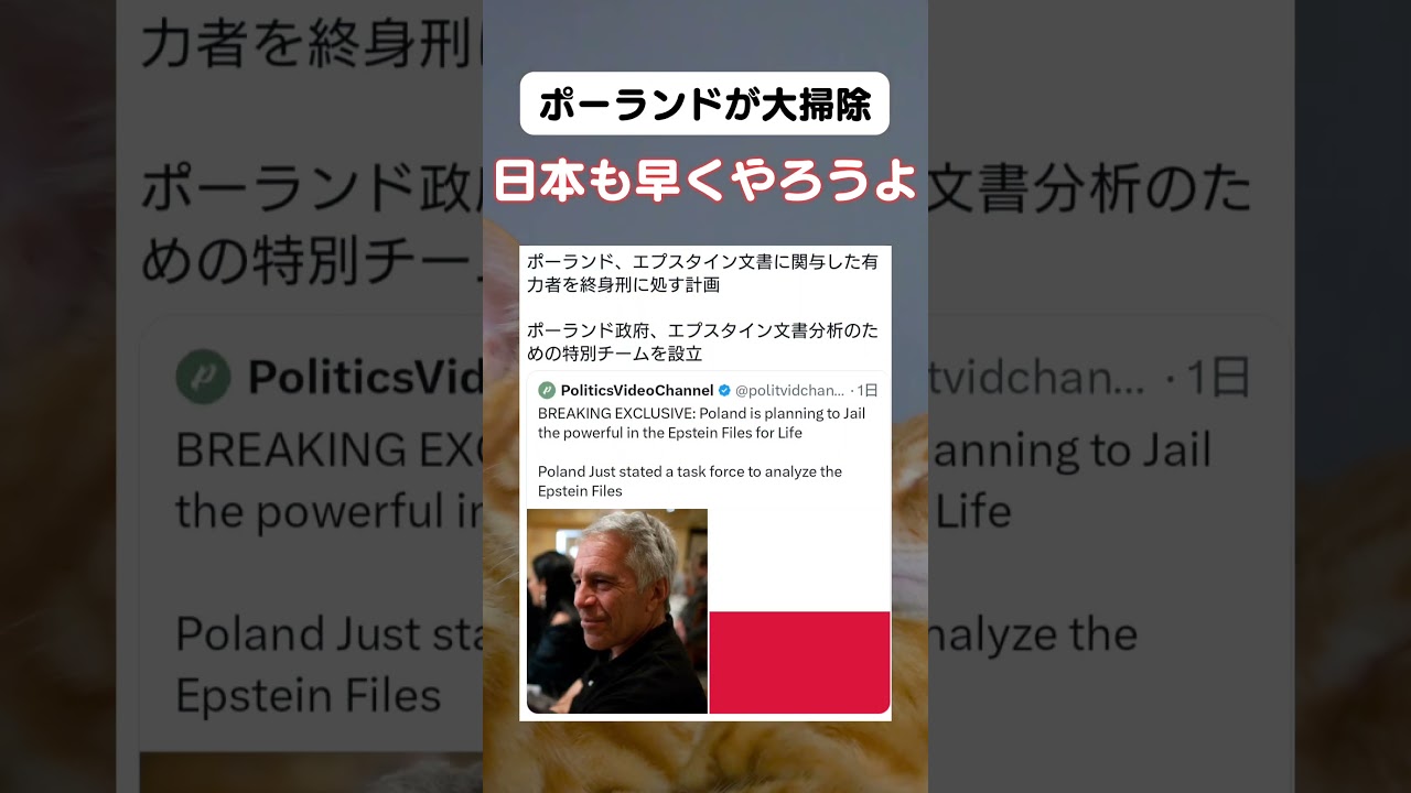なんとかなりませんか? #政治 #チームみらい