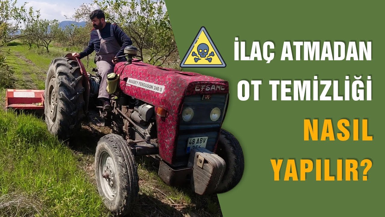 İlaç Atmadan Ot Temizliği Nasıl Yapılır? | Köydeki Bahcemizi Zehirlemeden Temizledik
