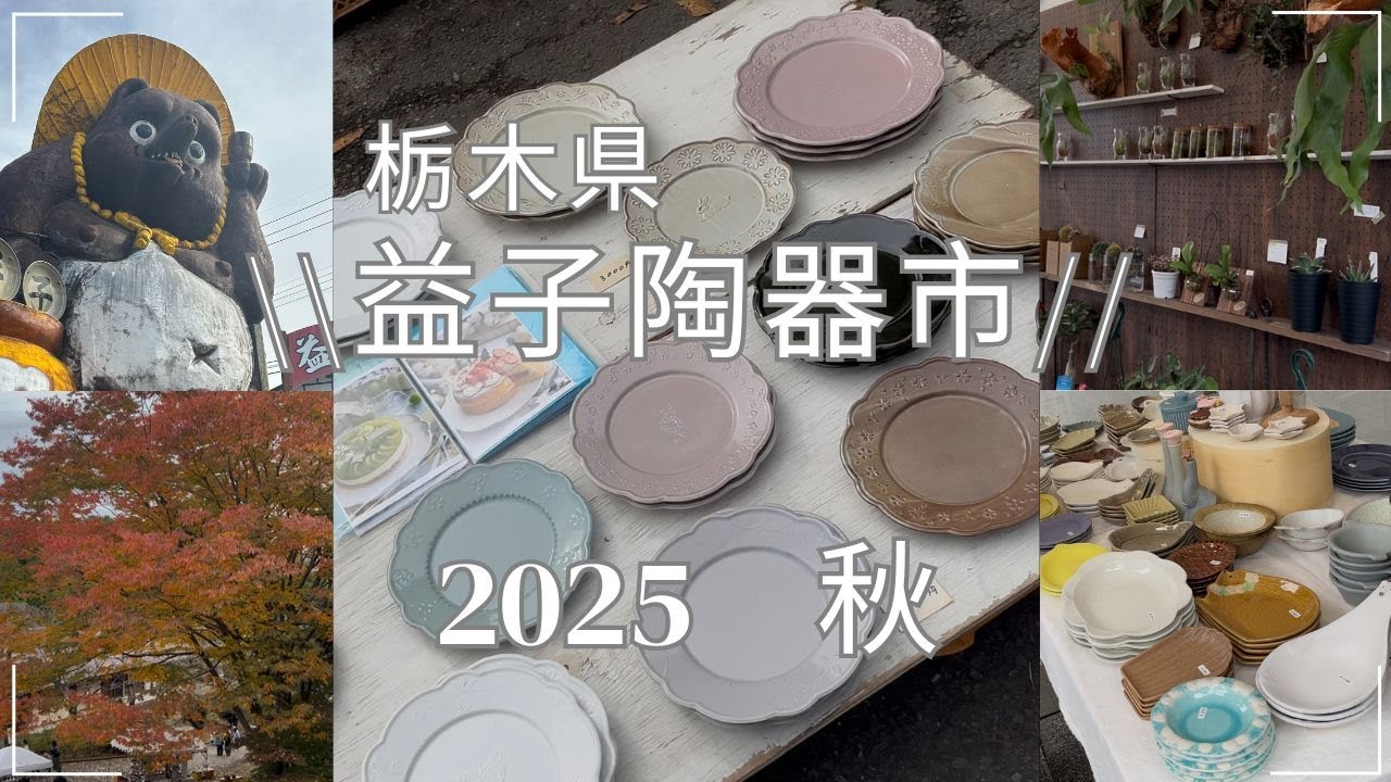 益子陶器市2025秋💕カレー皿とよしざわ窯さんの器をゲット！