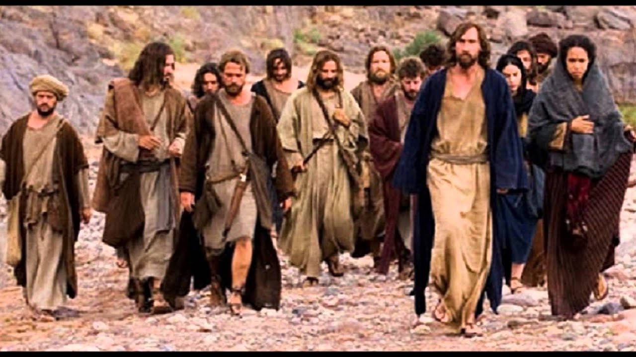 SH-V Shepherd vision on October 15 2015