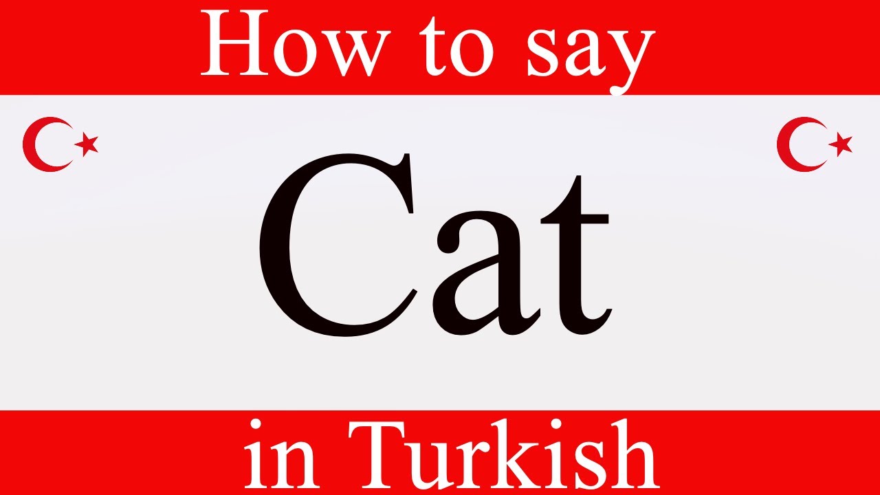 Learn Turkish | How to say 