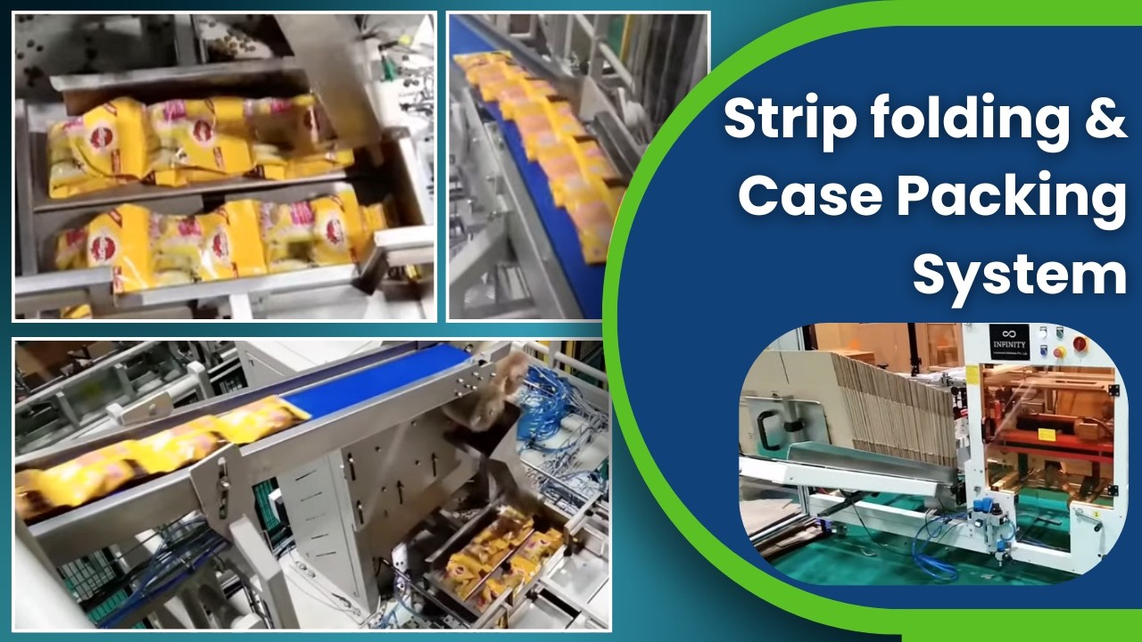 High-Speed Automated Case Packers for String of Pouches | Automatic Case Packer