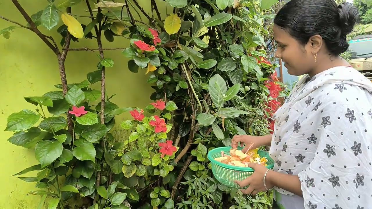 ଆମର ଛୋଟିଆ ବଗିଚାରେ କେତେ ଫୁଲ ଫୁଟିଛି 😱😊 | @BhaiBhauniChhunka 