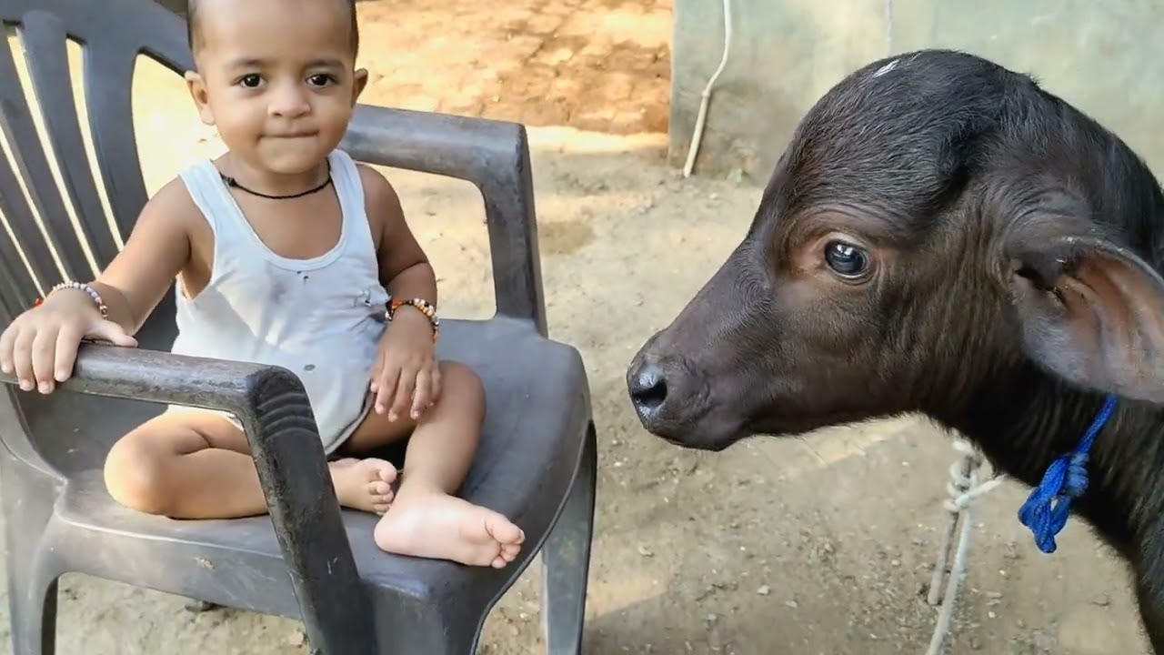 Me Playing With Munna | Desi Gao Ka Chhora Desi Katre Ke Sath 🤪